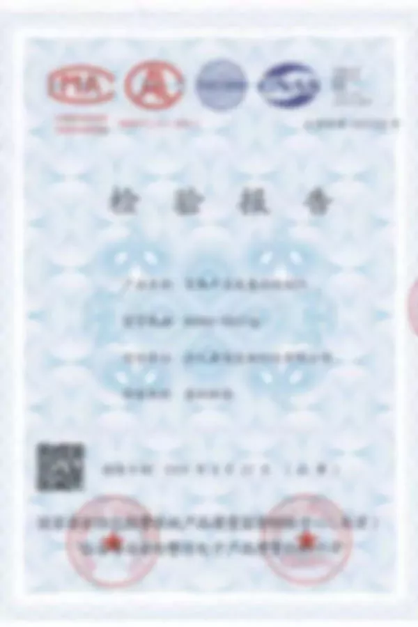 Testing Report